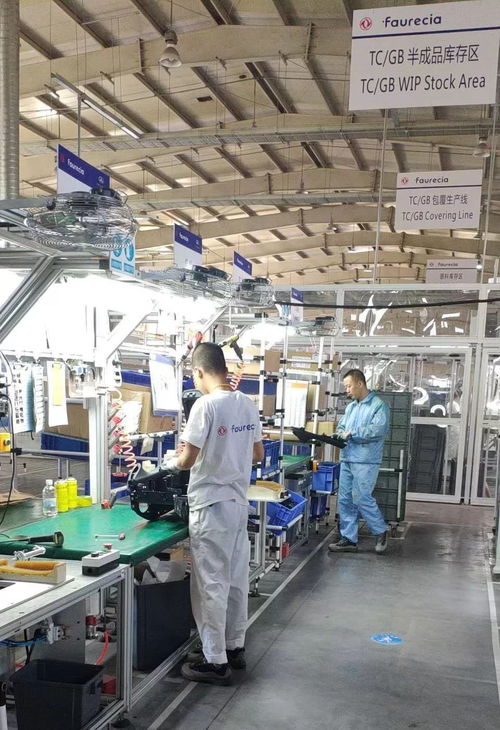 大連雙喜 智能制造樹標(biāo)桿，家政服務(wù)暖萬(wàn)家
